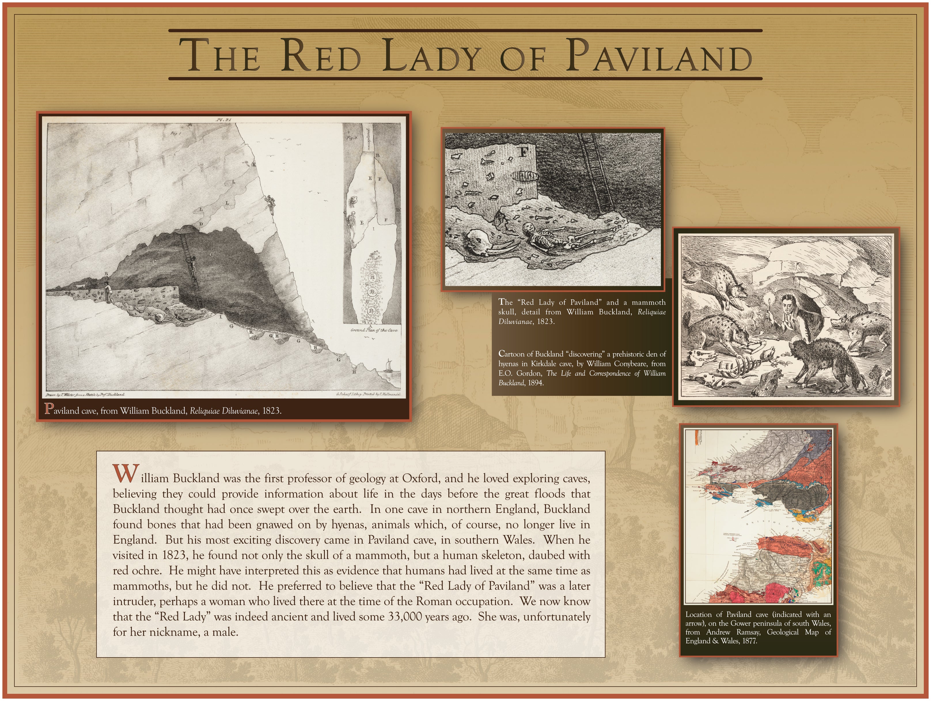 The Red Lady of Paviland
Evidence of first modern humans found in 1823.