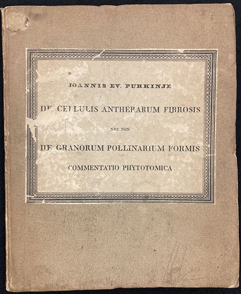 Pasteboard front cover, De cellulis antherarum fibrosis nec non de granorum pollinarium commentatio phytotomica, by Jan Evangelista Purkynĕ, 1830 (Linda Hall Library)