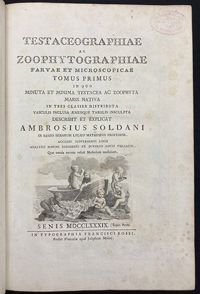 Title page, Testaceographiae ac zoophytographiae parvae et microscopicae, by Ambrogio Soldani, vol. 1, 1789 (Linda Hall Library)