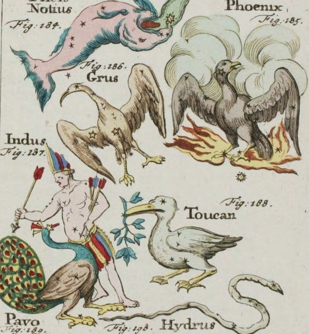 Detail of the southern constellations. Image source: Rost, Johann Leonhard. Atlas portatilis coelestis. Nuremberg, 1723, pl. 38.
