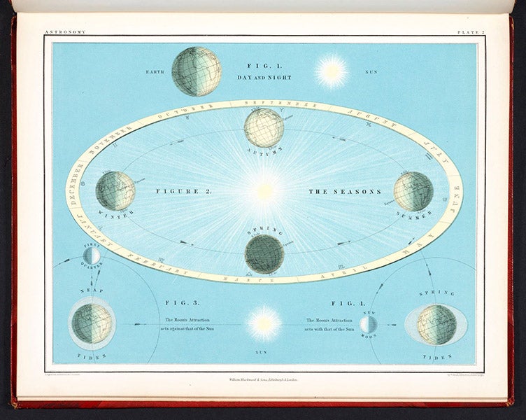 Causes of the seasons and the tides, hand-colored lithograph, Atlas of Astronomy, by Alexander Keith Johnston, plate 2, 1855 (Linda Hall Library)