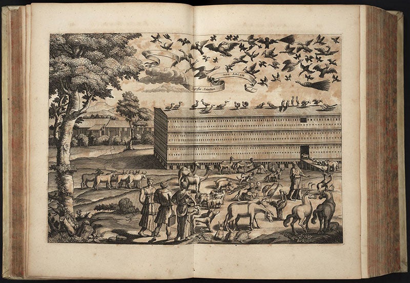 Loading the Ark, two-page engraving in Arca Noë, by Athanasius Kircher, foll. p. 122, 1675, copy 2 (Linda Hall Library)