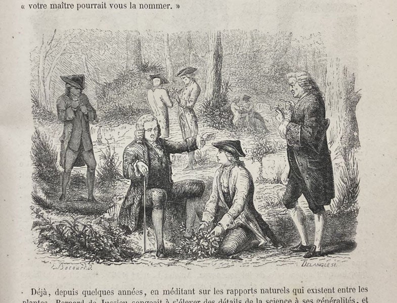 Linnaeus teaching in the field, wood engaving, Le muséum d'histoire naturelle, by Paul-Antoine Cap, part 1, detail of p. 15, 1854 (Linda Hall Library)