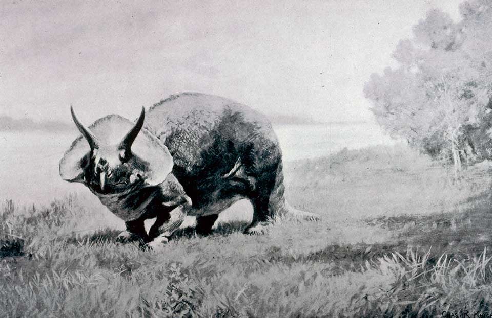 Triceratops illustration by Knight. This work was on display in the original exhibition as item 27, but it is not opened to either of these two plates. Image source: Lucas, Frederick A. "The Dinosaurs or terrible lizards," in: Annual Report of the Board of Regents of the Smithsonian Institution, for the year ending June 30, 1901, pl. 1. 