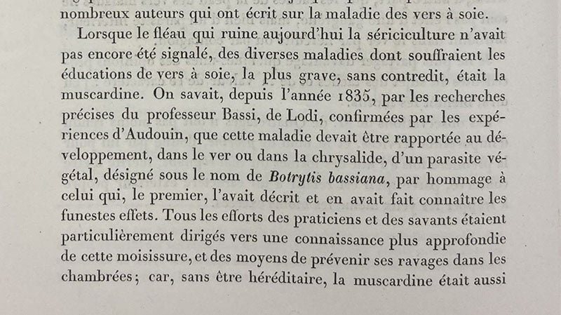 Passage where Pasteur acknowledged the work of Agostino Bassi and named the silkworm parasite Botrytis bassiana in Bassi’s honor, Études sur la maladie des vers a soie, Louis Pasteur, 1870 (Linda Hall Library)