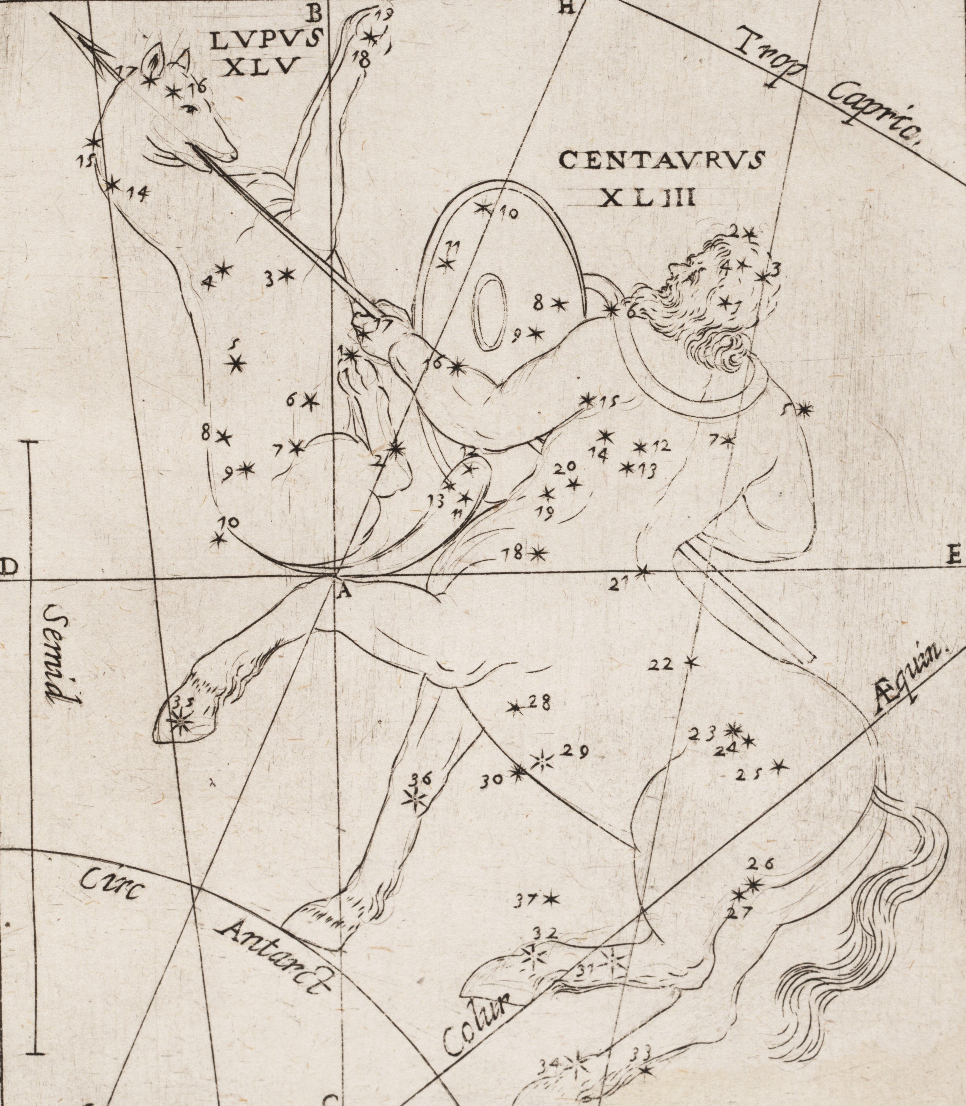 Cantaurus and Lupus. Image source: Grienberger, Christoph. Catalogus veteres affixarum longitudines ac latitudines conferens cum novis. Rome: Apud Bartholomaeum Zannettum, 1612.