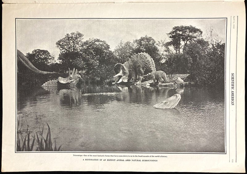 Triceratops family, sculptures by Josef Pallenberg at Tierpark Hagenbeck, Hamburg, Scientific American, vol. 104(14), p. 353, Apr. 8, 1911 (The Linda Hall)