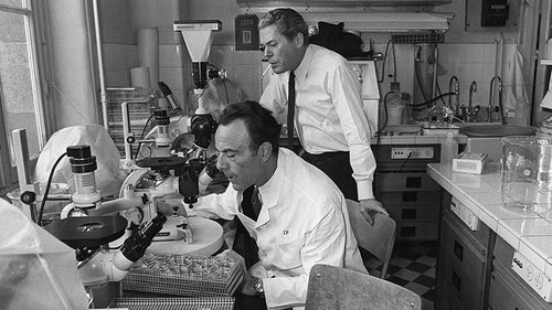 François Jacob (left) and Jacques Monod in the lab at the Institut Pasteur, 1971, New York Times obituary (nytimes.com)