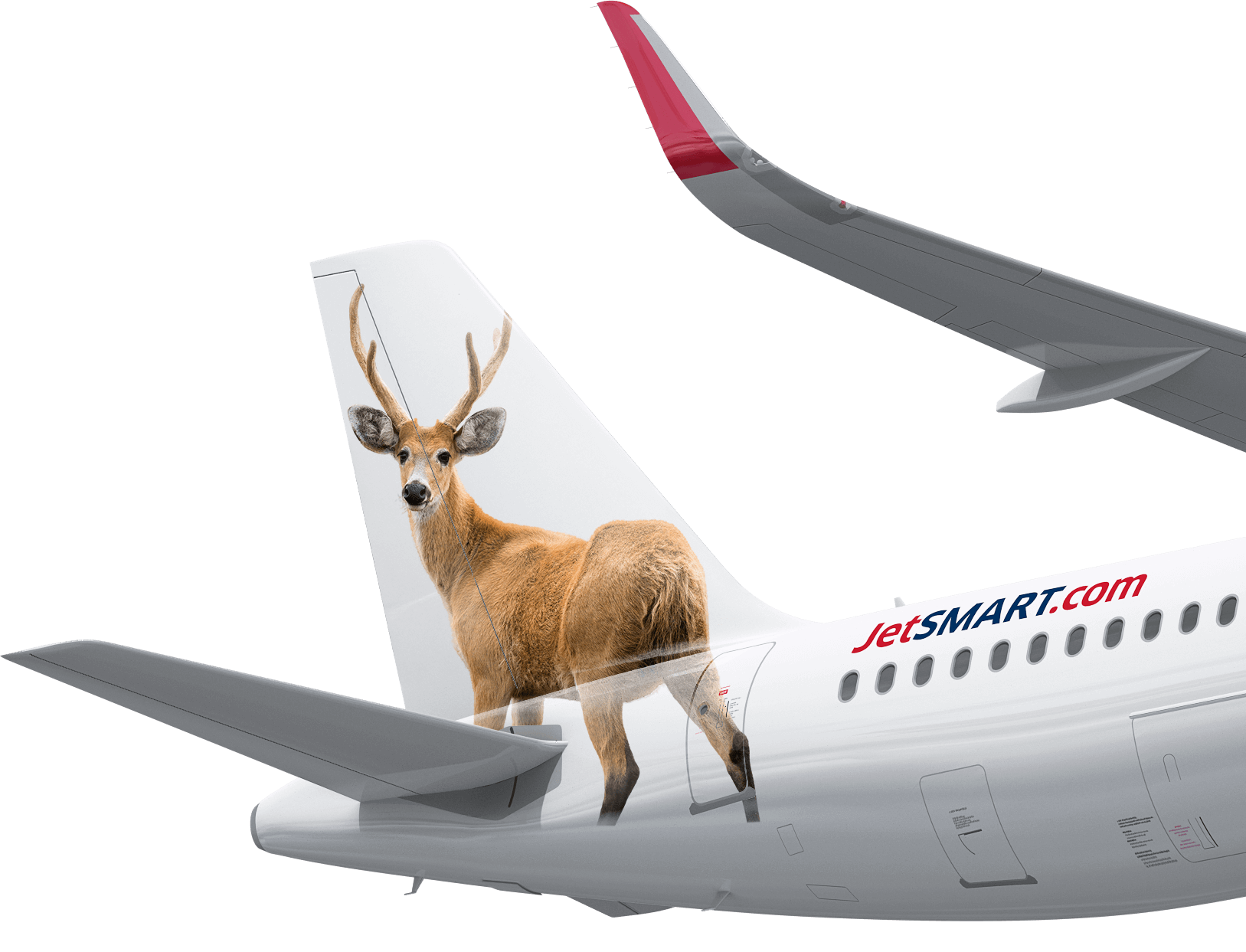 Ciervo de los Pantanos