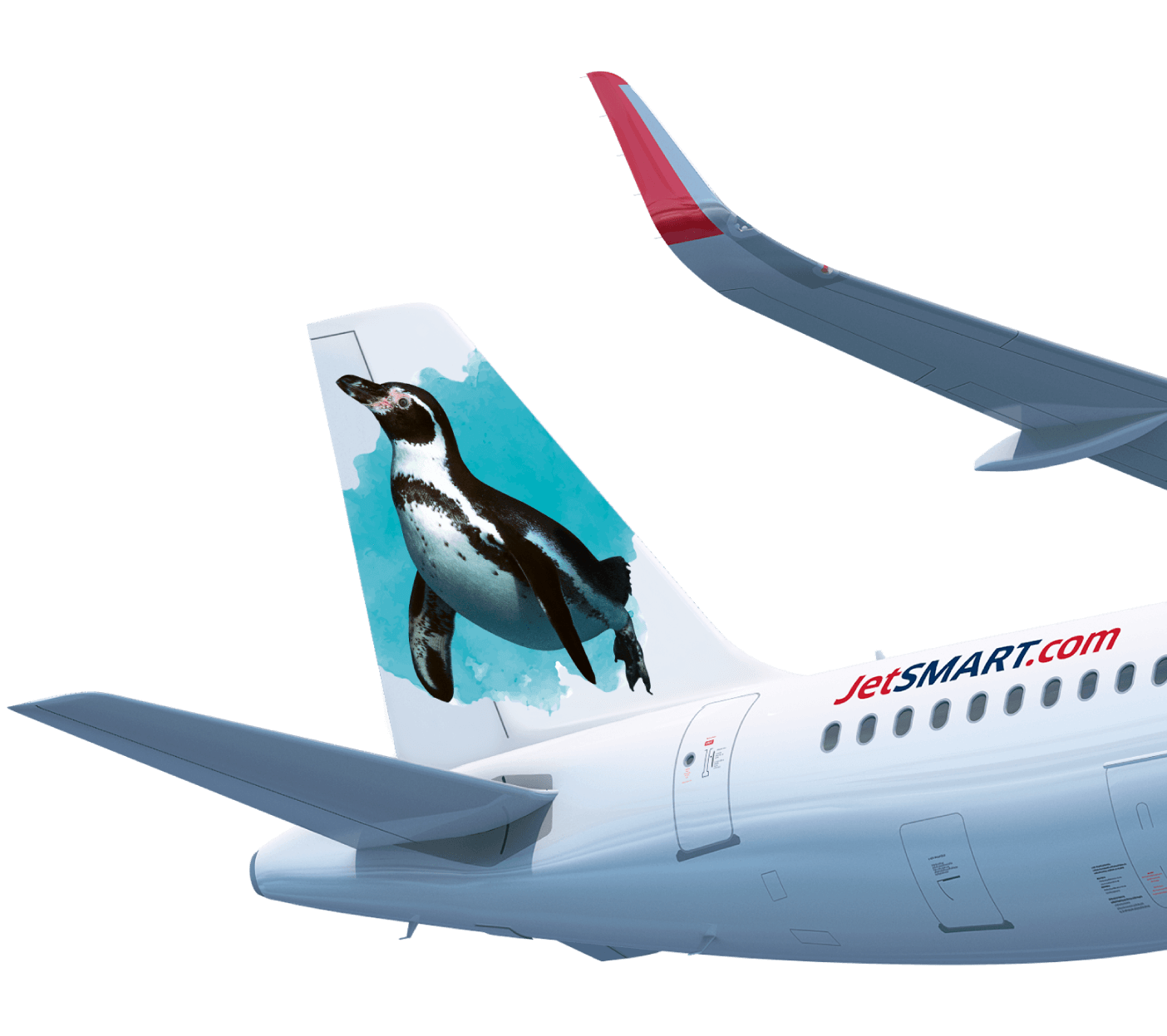 Pingüino de Humboldt 