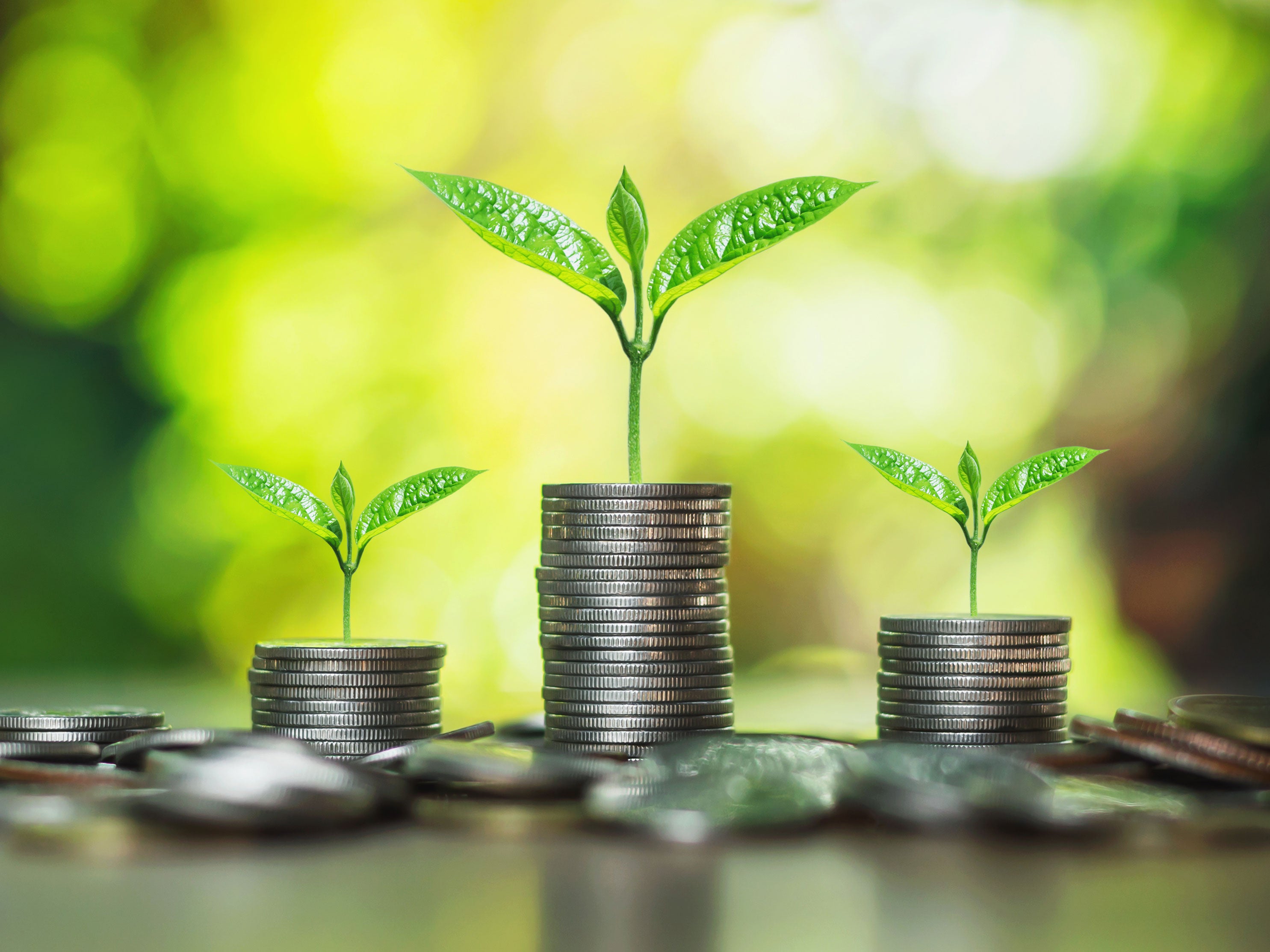 Key lessons from ASIC’s first court action against greenwashing by super fund