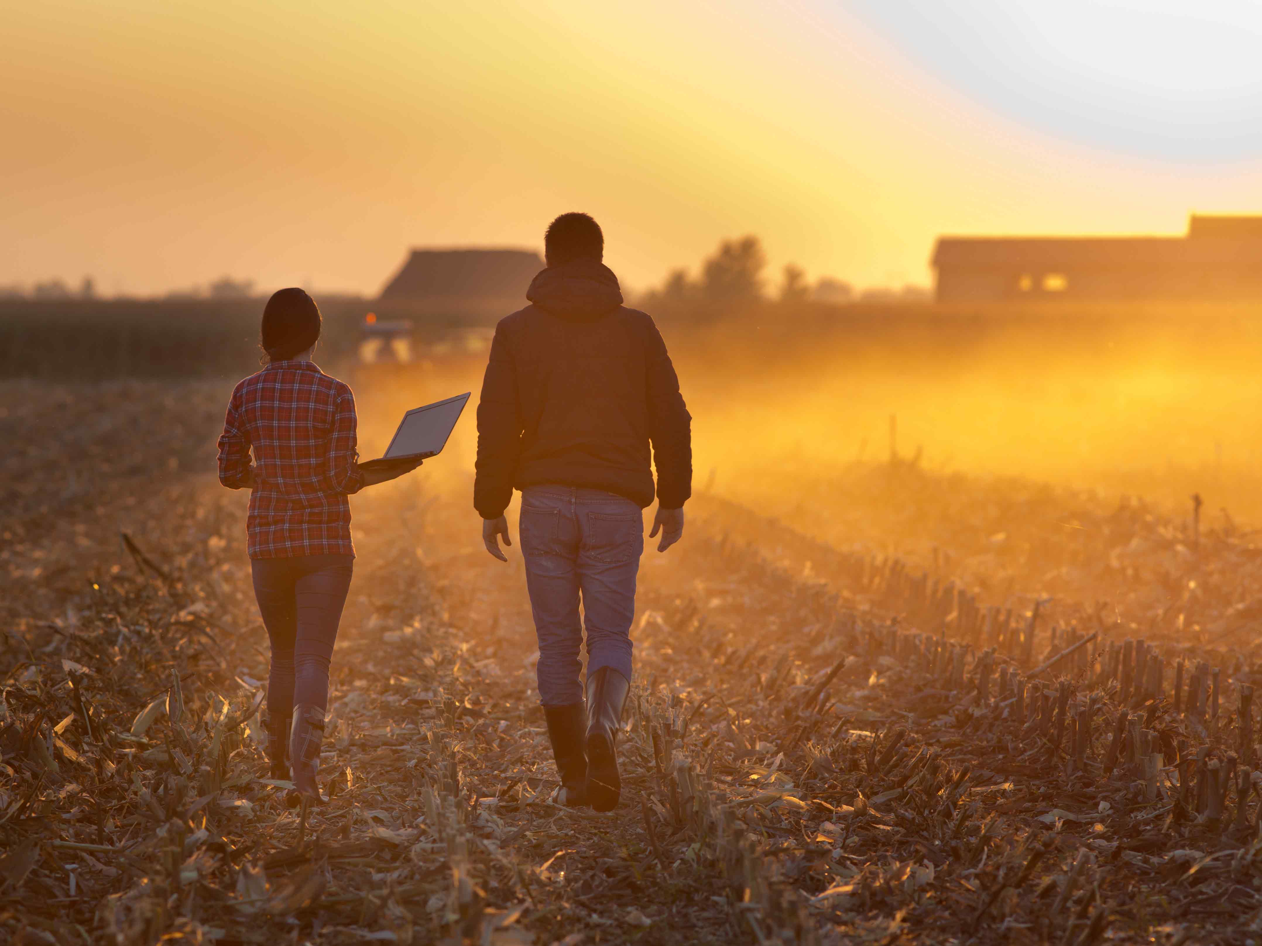 Documenting and reviewing business structure key