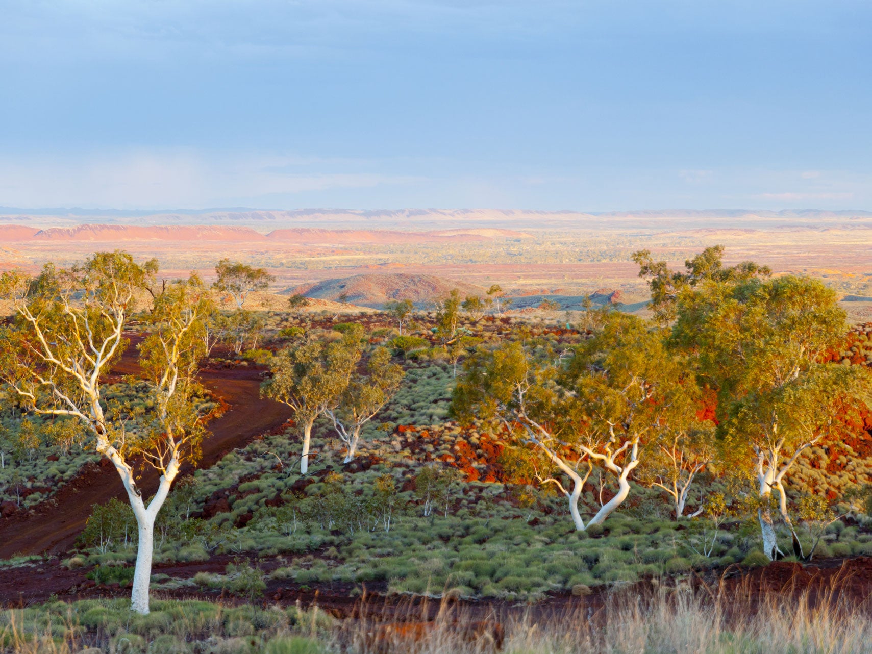 Spotlight on cultural heritage law reform following Aboriginal heritage destruction at Juukan Gorge