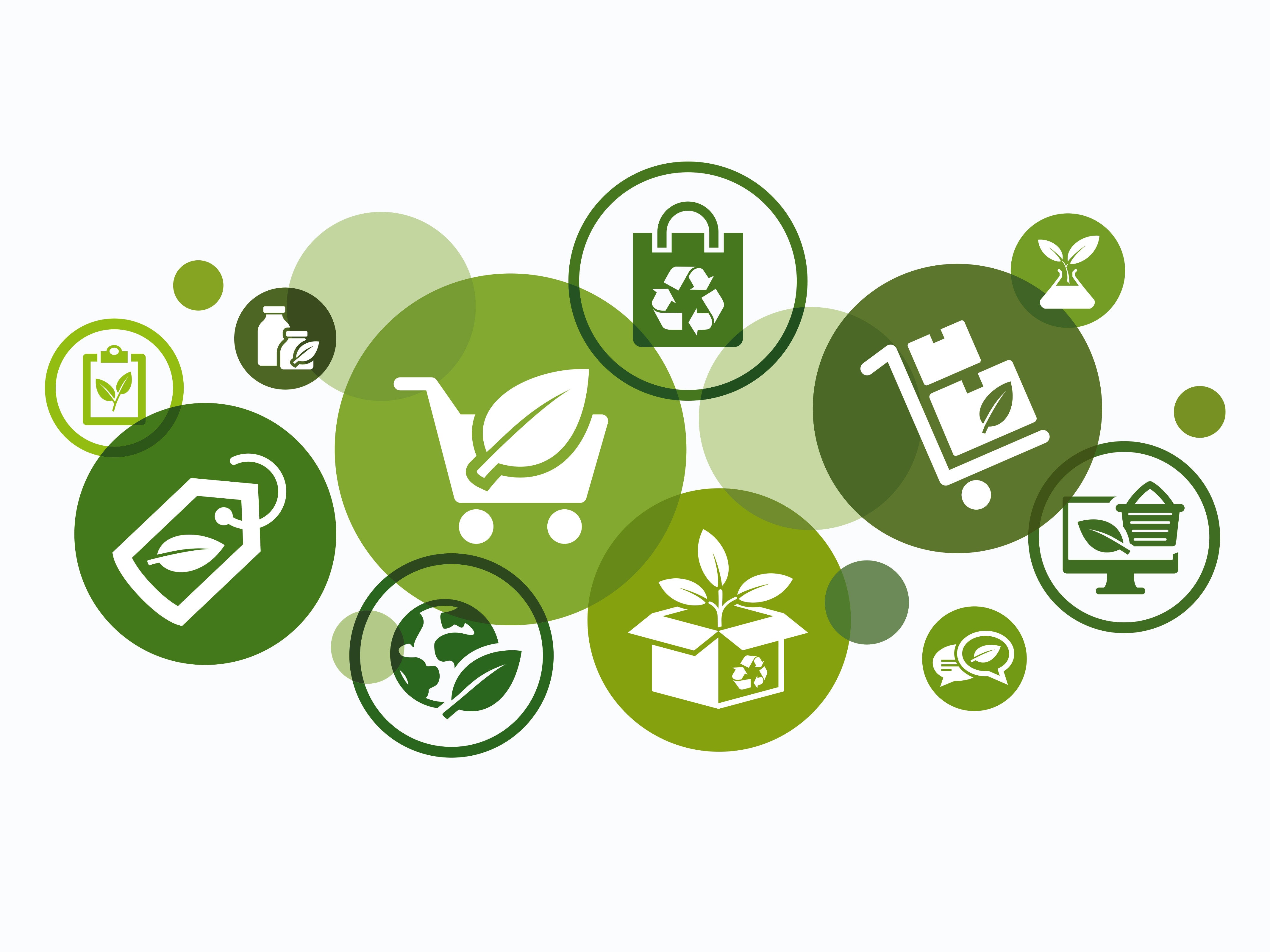 Greenwashing unsustainable following ASIC and ACCC enforcement action: How your business can stay off the regulators’ radar