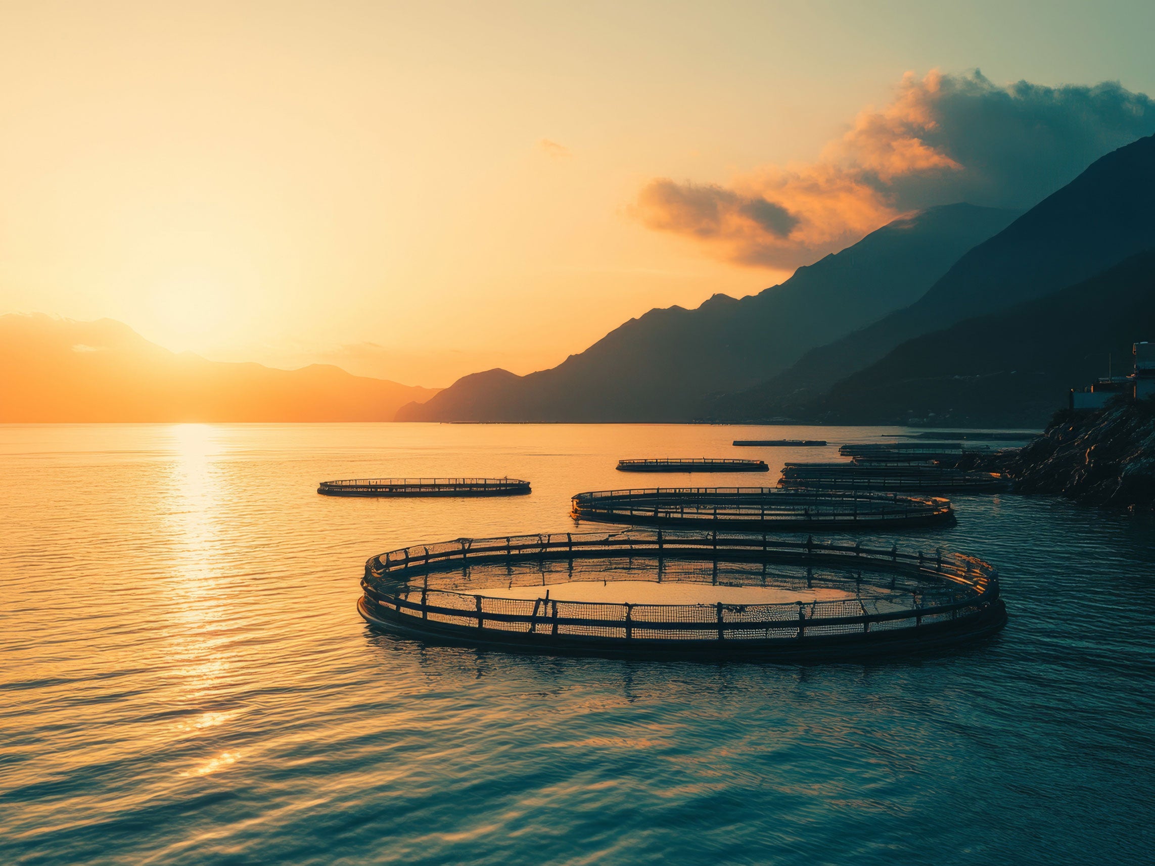 Reconsidering reconsiderations – changes to the EPBC Act narrow the scope of merit review