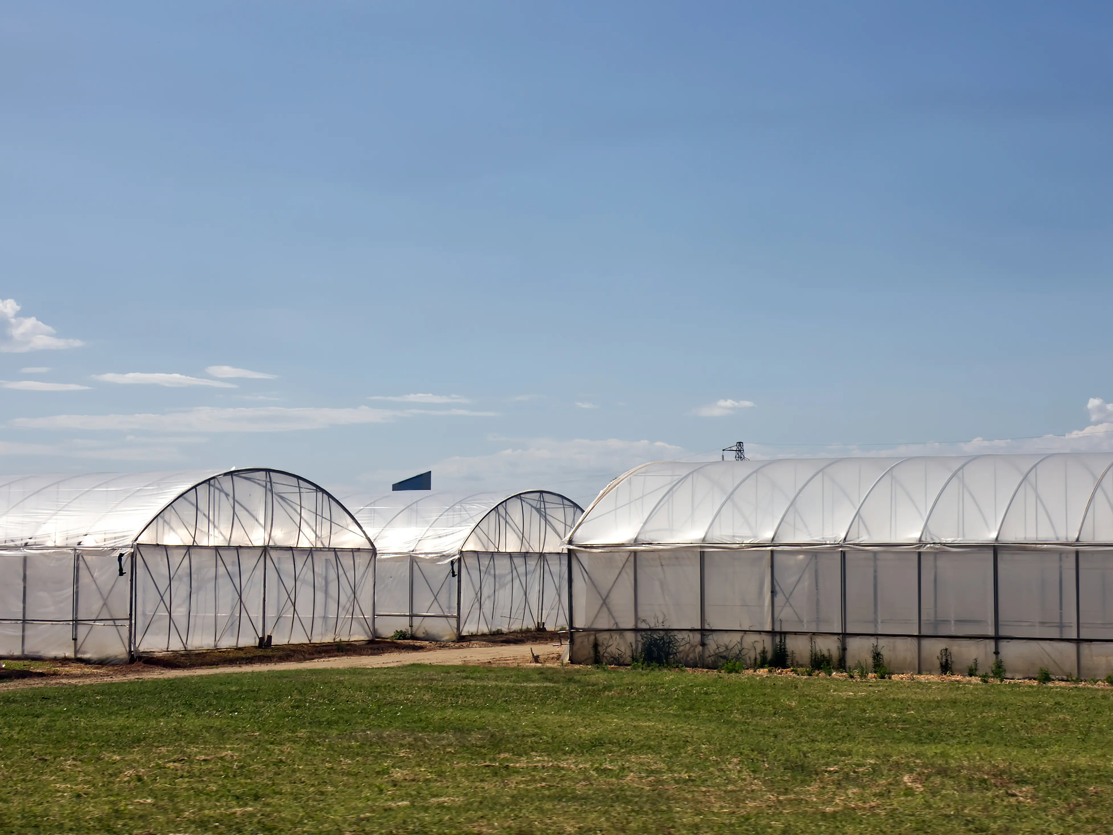 Integral to agriculture - how are protected cropping structures characterised under NSW planning law?