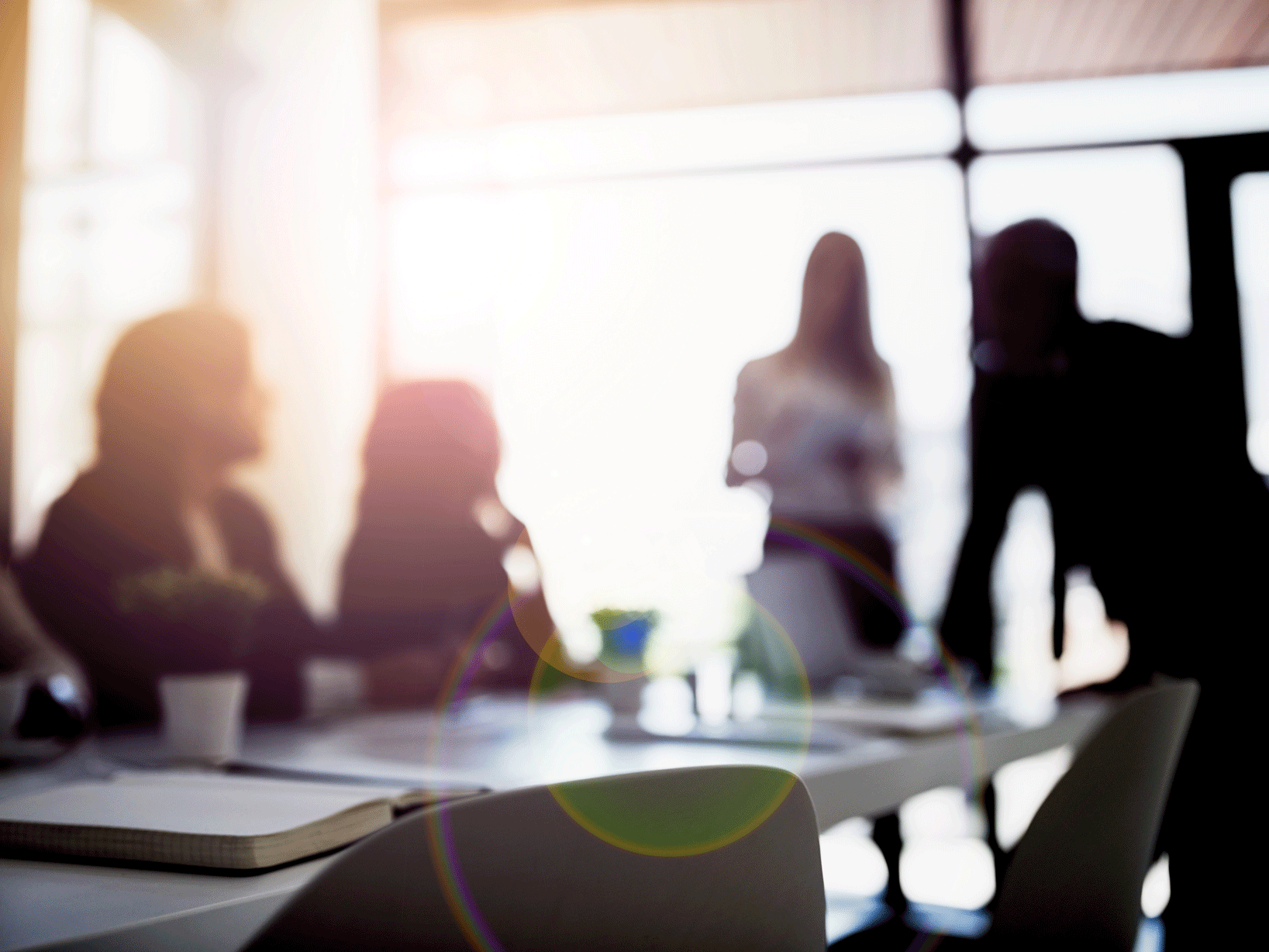 Oppressive conduct claims in the Supreme Court of Victoria: A guide for company leaders