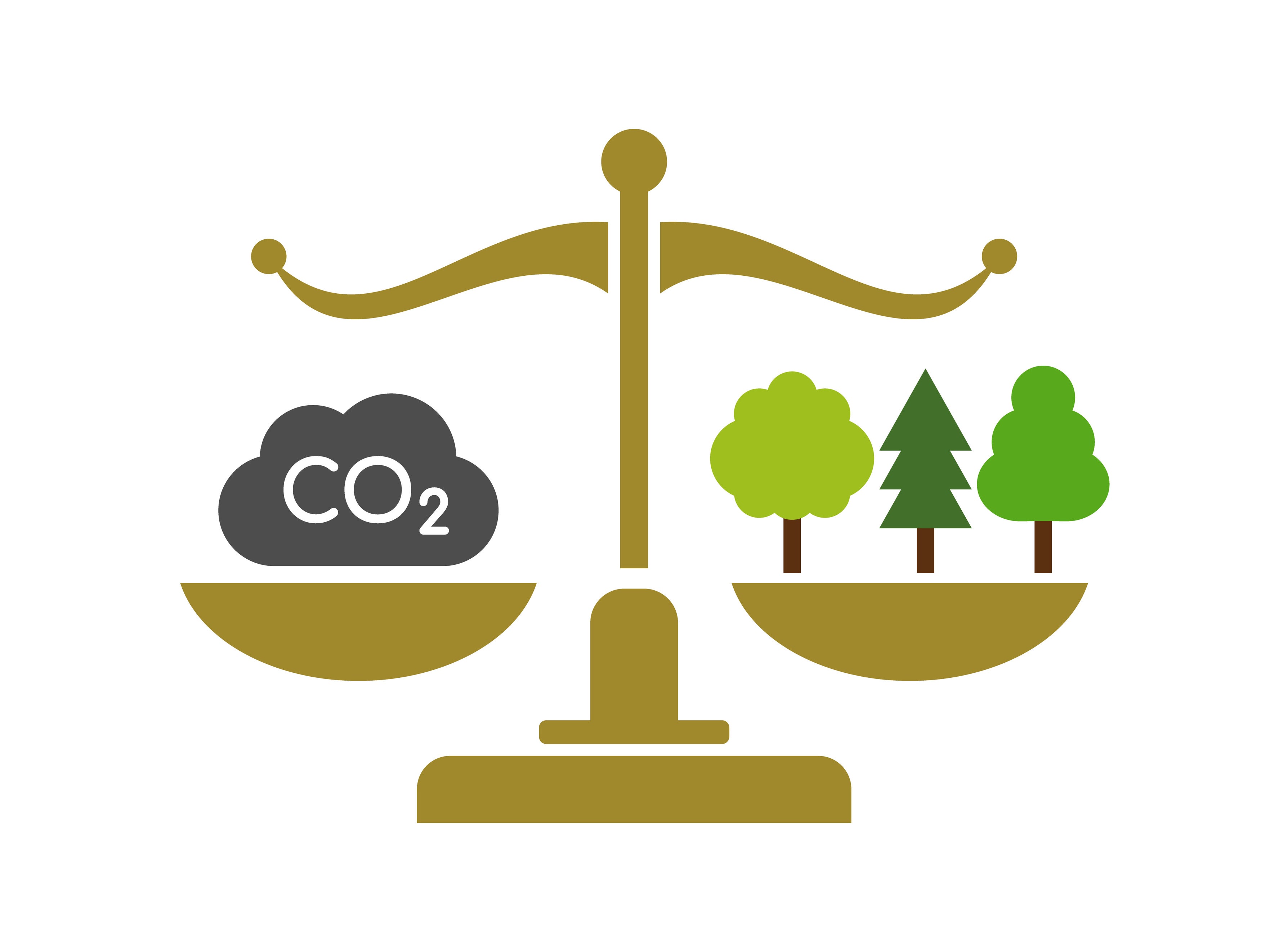 Future of climate change litigation against governments