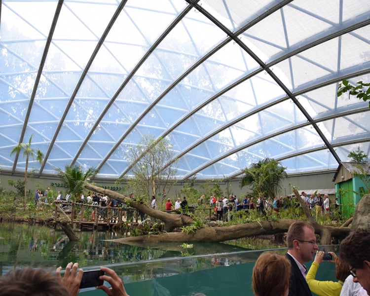 Burgers’ Zoo Mangrove, Arnhem, The Netherlands