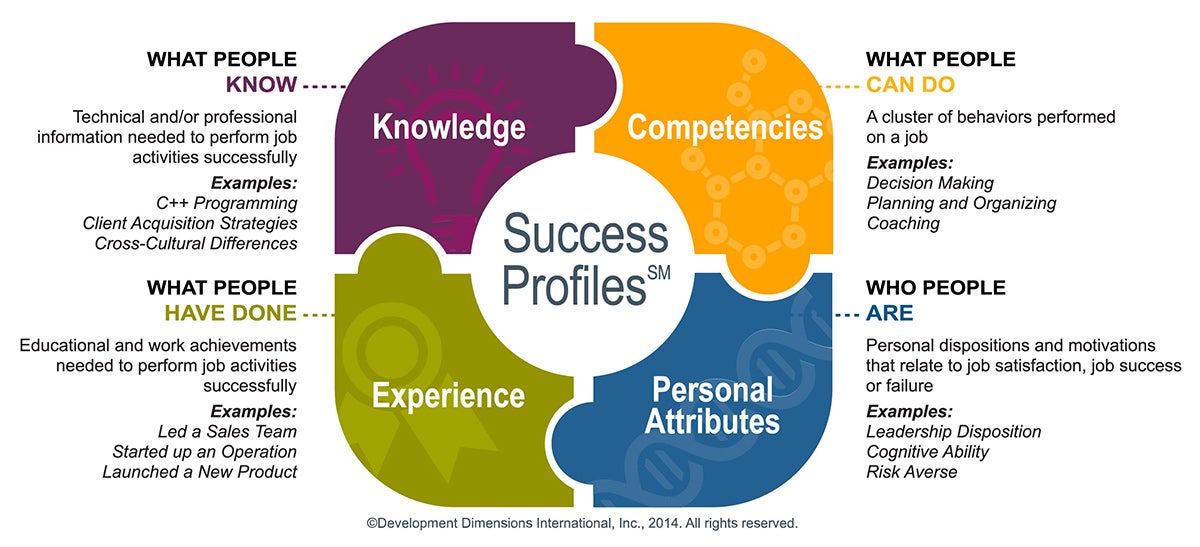 DDI Success Profiles (SM)