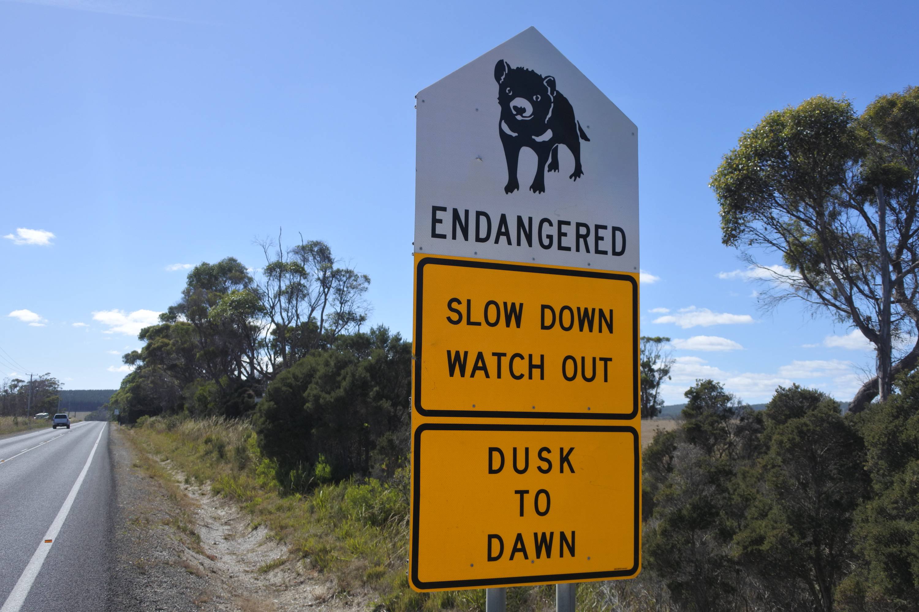 Sign says watch out and drive slow endangered wildlife (1).jpg