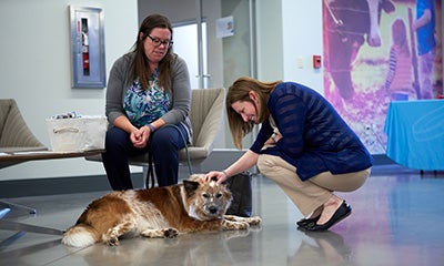 one woman sat down holding a dog on a lead whilst another woman is knelt down petting the dog