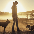 woman with two dogs during sunrise