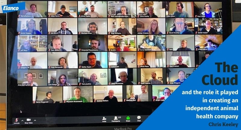 photo of employees on a virtual call