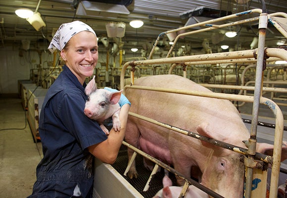 woman smiling whilst holding a piglet in front of an adult pig