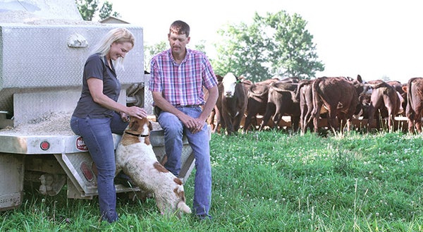 man and a woman in a field of cows with a dog jumping up at the woman and smiling