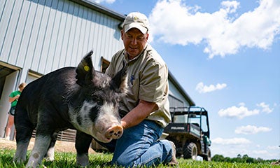 farmer knelt down touching a pig