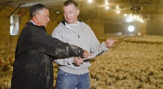 two men talking in a barn full of chickens