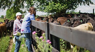 a man and a young girl stood on the fence looking into a field of cows