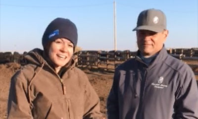 woman and a male looking at the camera in front of a pen full of cows