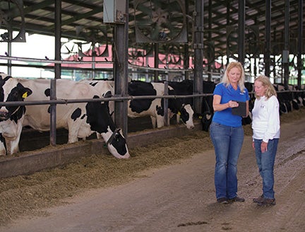 two women looking at a digital pad next to a pen of cows