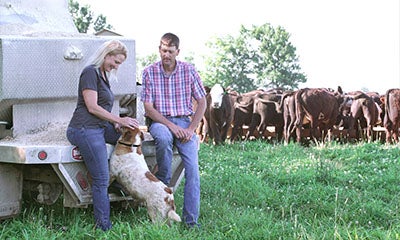 man and woman stood in a field in front of cows with the woman stroking her dog and smiling