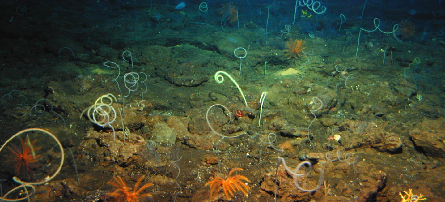 Article cover image