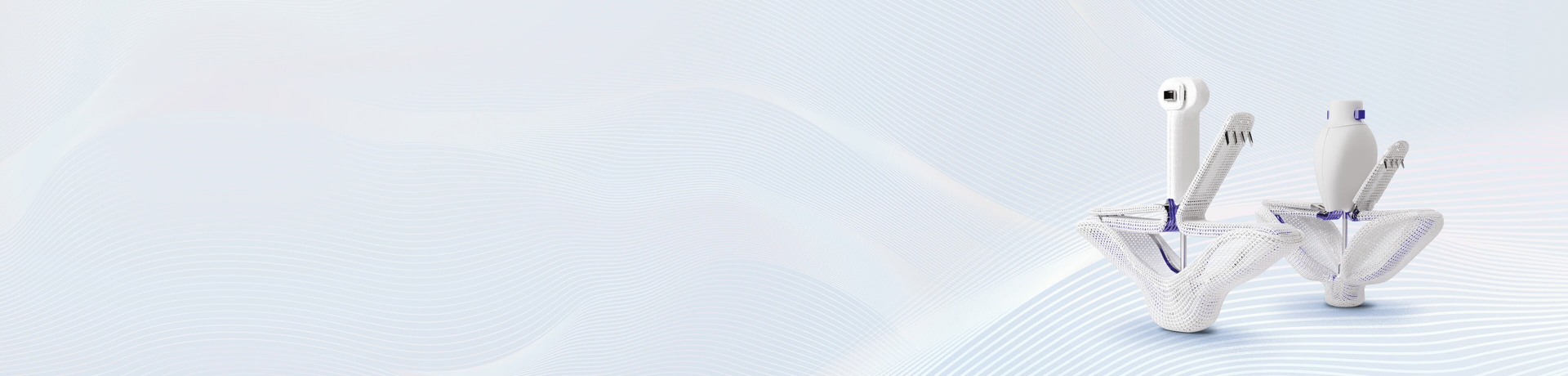 MICLASP study PASCAL - TR