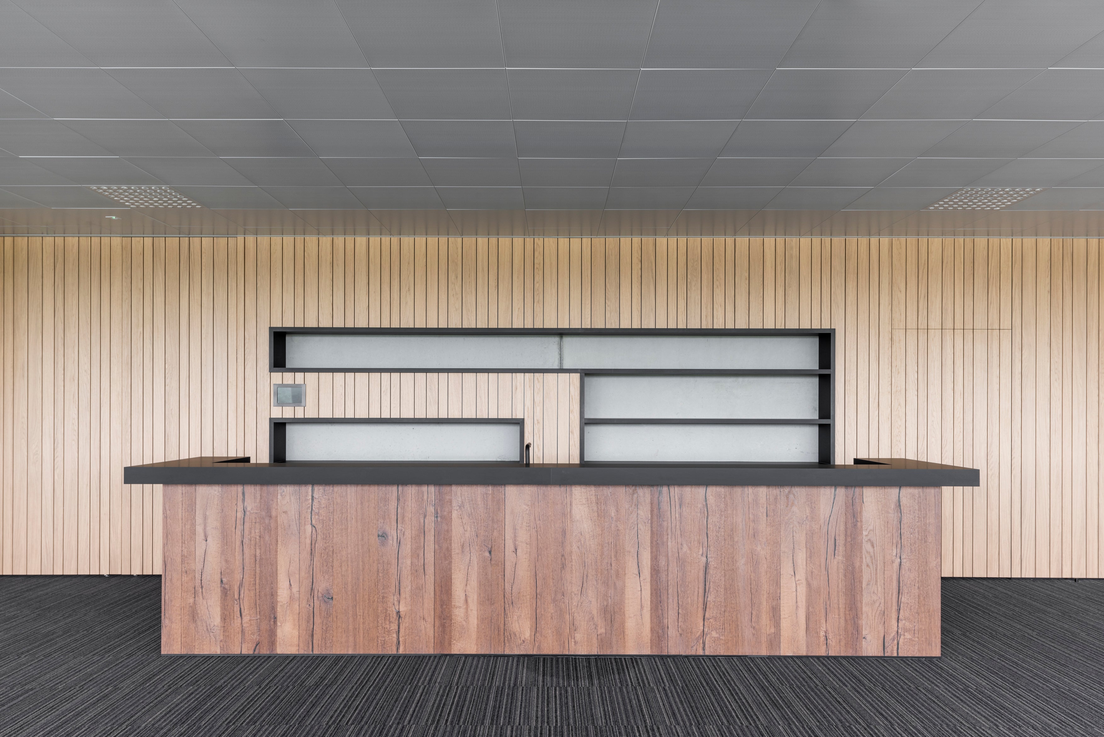 Querkus - office bar - wooden bar