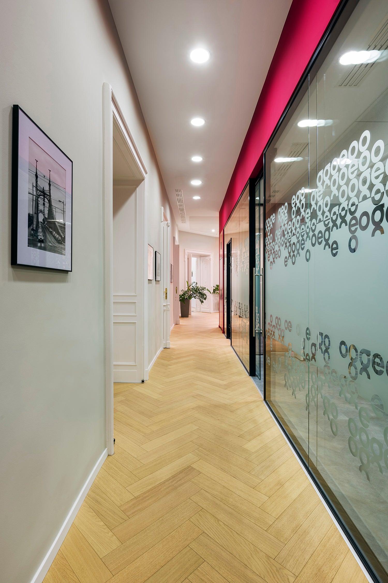 Parky- wooden office floor - wood floor - office floor - hallway floor