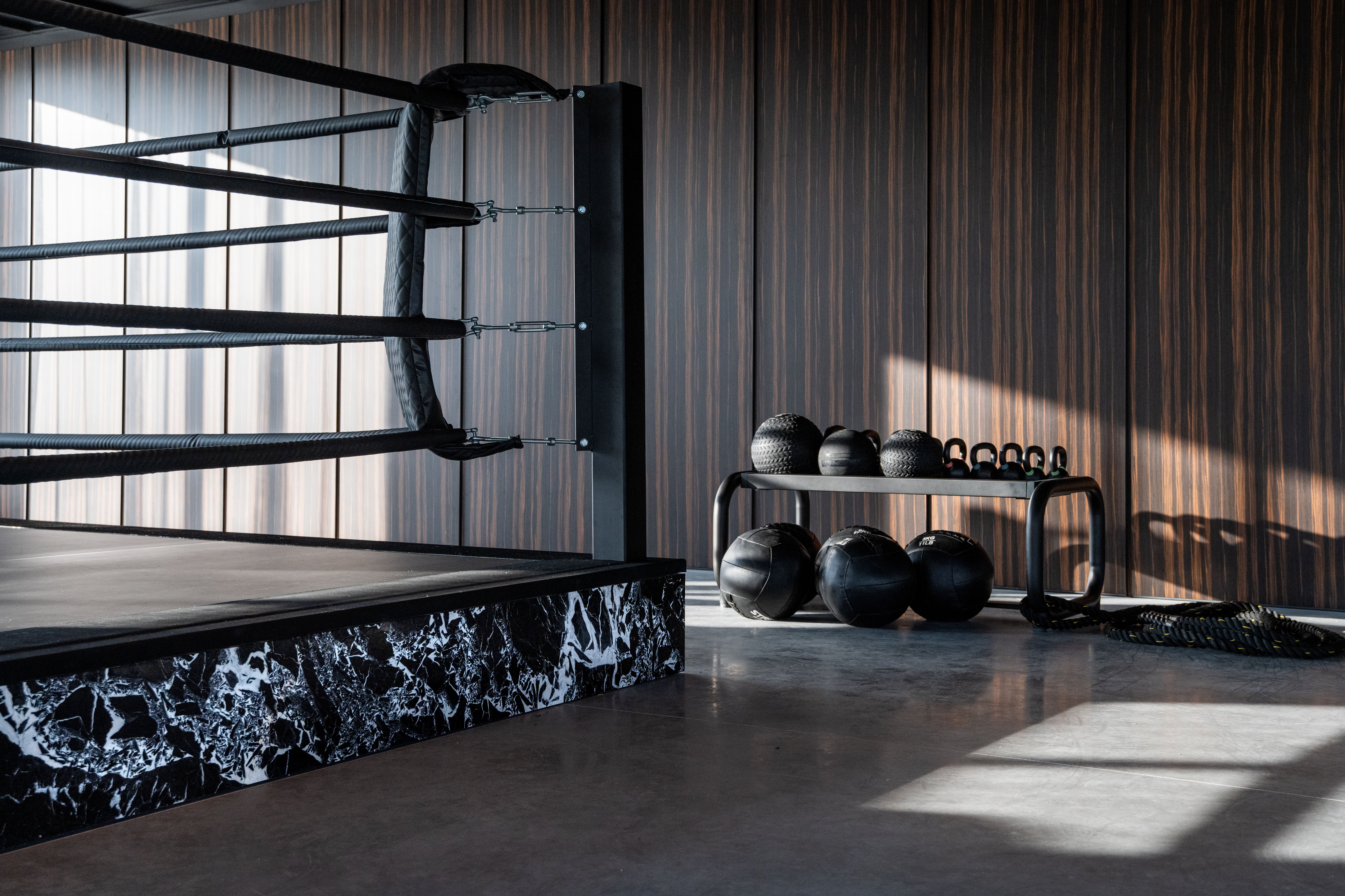 Decospan wood wall - infinite wood corvus ebony - gym wood wall - wall for gym - wooden wall for gym