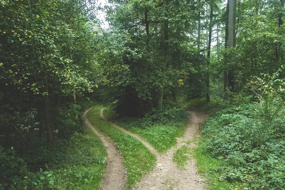 Fork in the road