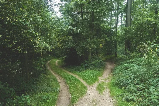 Fork in the road