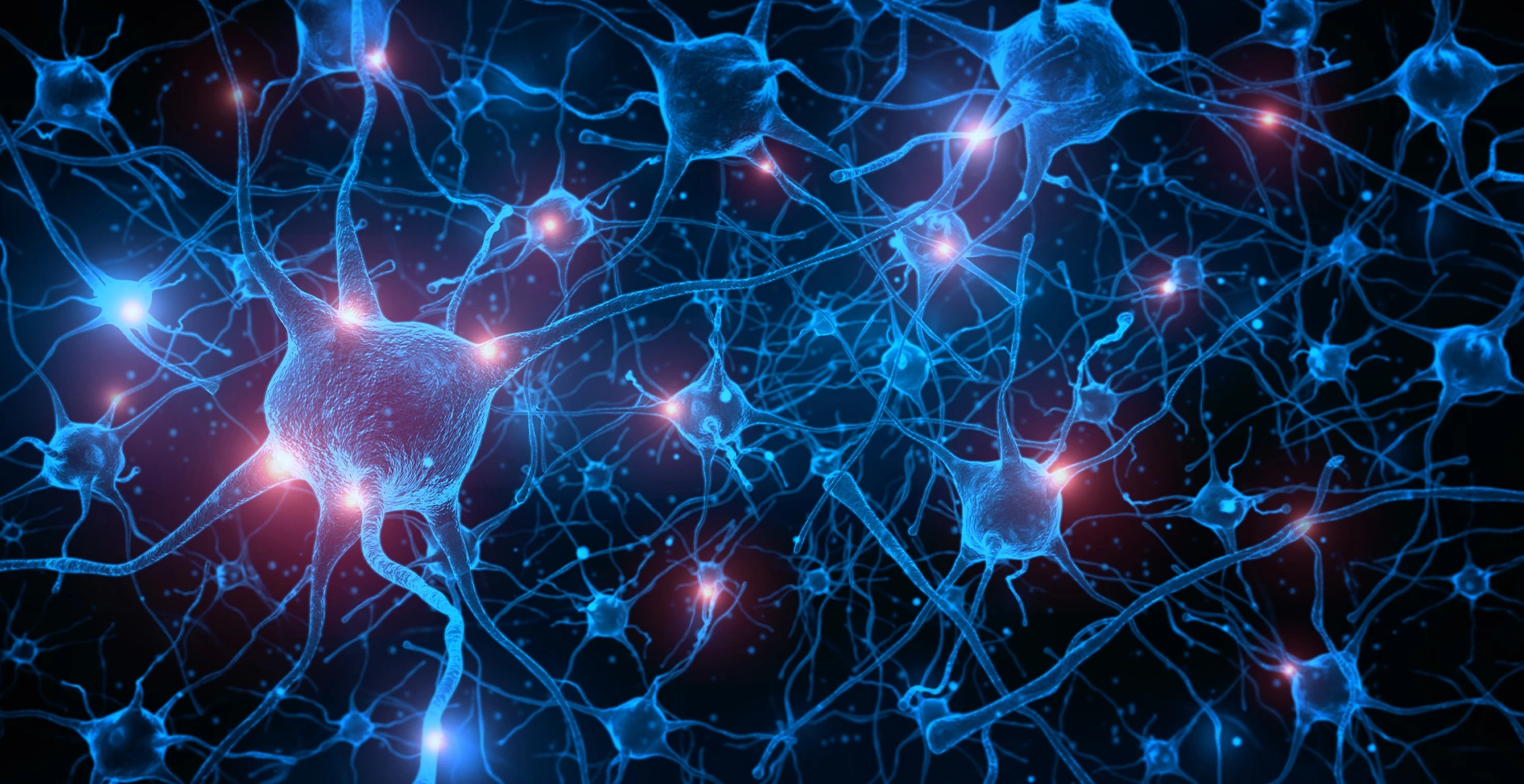 NeuronCells_Hero_Masthead.jpg