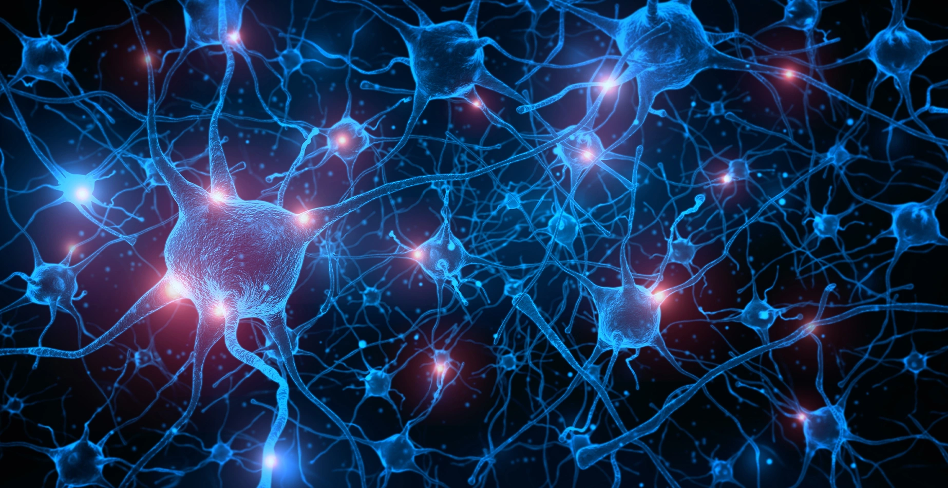 NeuronCells_Hero_Masthead.jpg