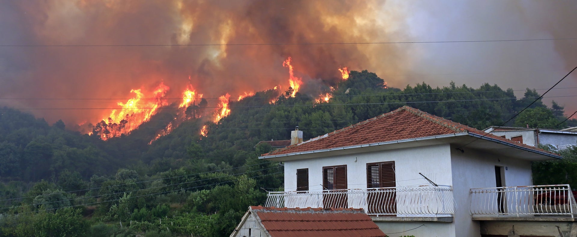 Wildfire