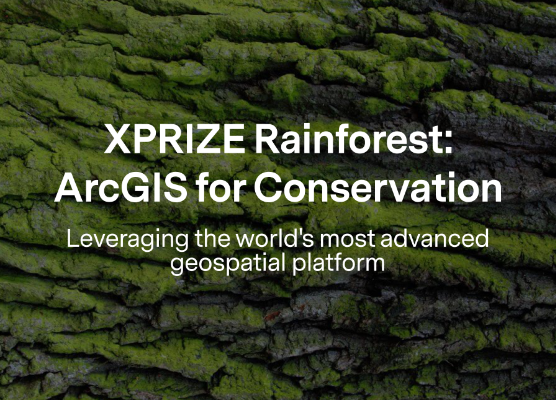 Esri ArcGIS