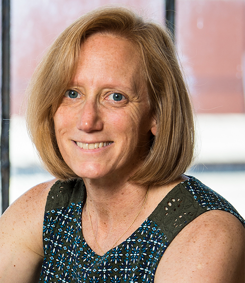 Dr. Julie A. Adams