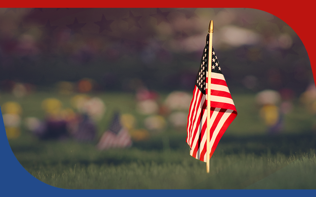 american flag in a field with a burred background