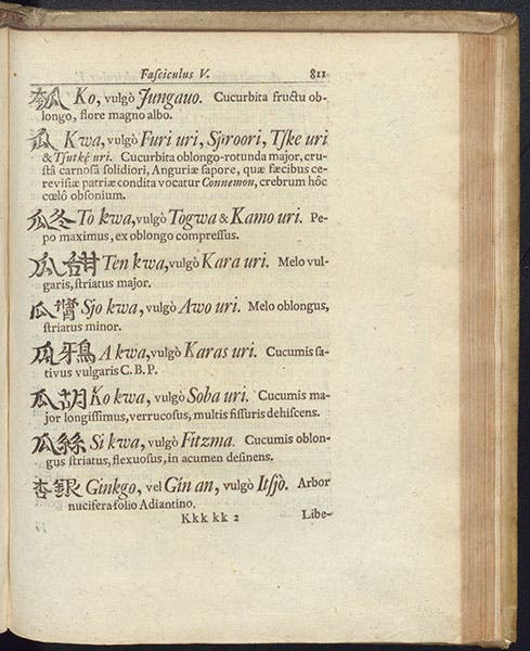 Page from listing of Japanse flora, wtih Ginkgo at the bottom, Amoenitatem exoticarum, by Engelbert Kaempfer, p. 811, 1712 (The Linda Hall)